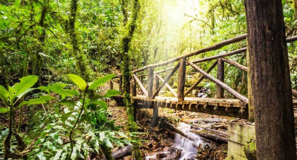 Parque Nacional La Tigra, Near Tegucigalpa, Honduras